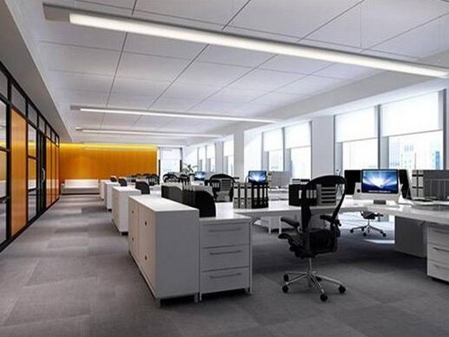 无锡石家庄鼠尾胶原