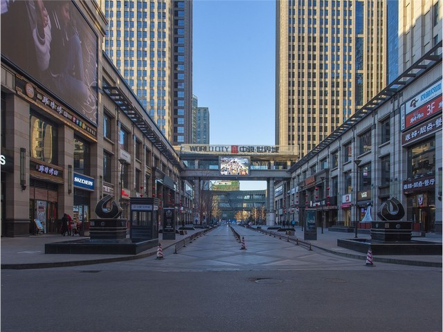 青浦区环保假山绿化