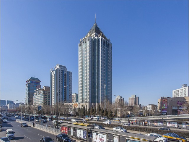 西安各种梨树苗价格